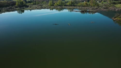 Aerial view of crew member rowing her boat