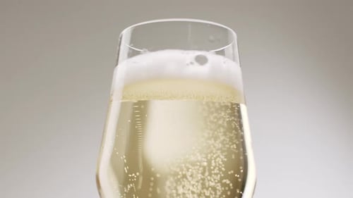Glass of Champagne on White Isolated Background Champagne Bubbles