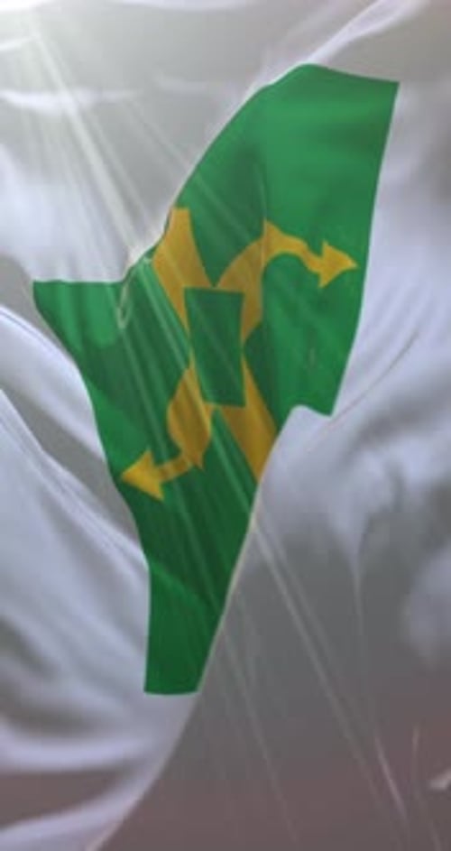 Bandeira de Brasília