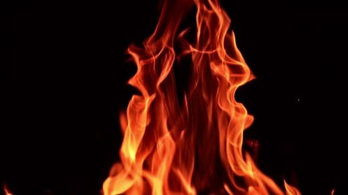 Wunderschöne Flammenzungen vom Lagerfeuer. Nahaufnahme. Vereinzelter Brand auf schwarzem Hintergrund
.