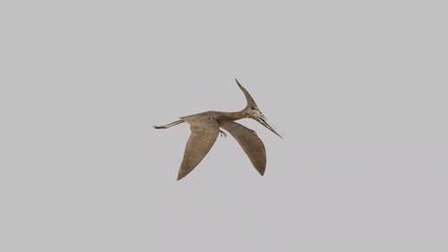 Pterodactyl Flying Loop