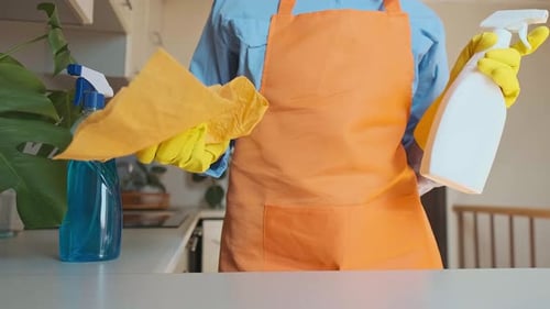 Person Holding Cleaning Supplies in a Kitchen