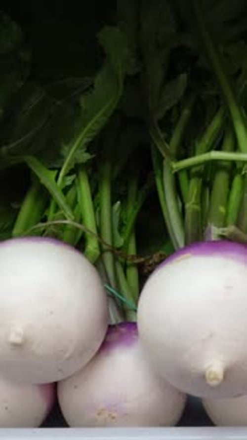 Vertical Video of Vegetables in a Market