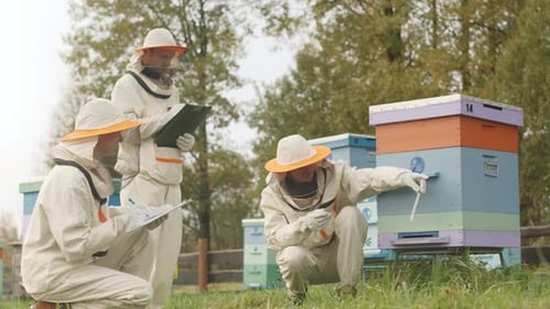 Team of Beekeepers Working with Beehive