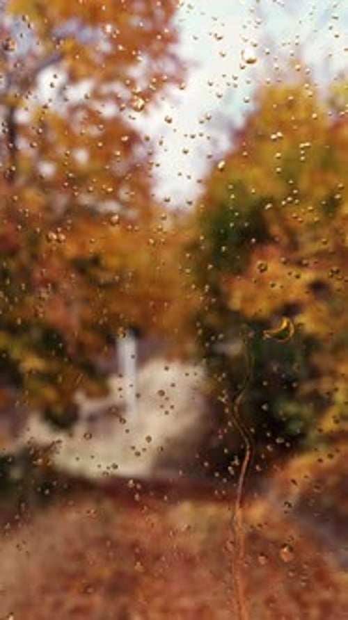 Rain Drops on Window with Blurred Autumn Forest Background