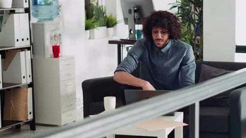 Professional Analyst Explaining Project