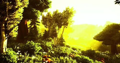 Golden Sunlight Bathes a Serene Forest Landscape in Morning Warmth and Beauty