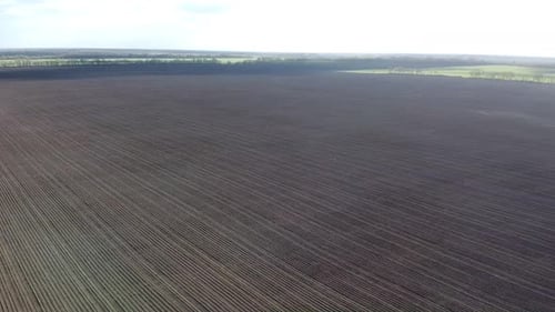 Tractor with yellow seeder working on the field in Ukraine OA Lexa