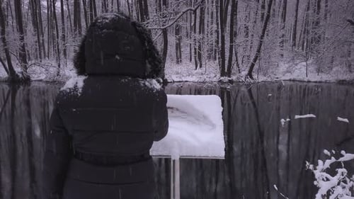 Warm dressed female brushing soft snowfall from woodland lake information signboard, rear view