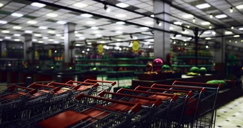 Shopping Carts Lined Up in a Spacious Grocery Store Ready for Customers