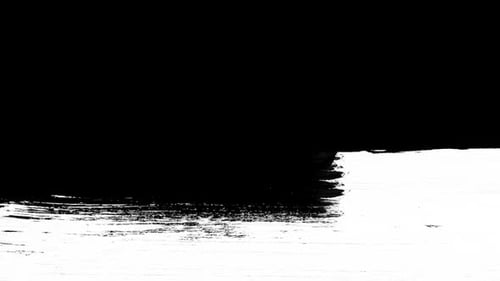 Abstract Fluid Light Streaks Reveal Animation