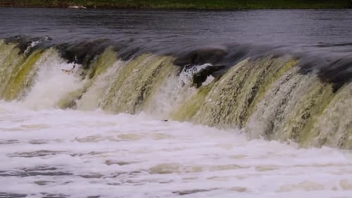 Kūldīga fish jumping in slow motion