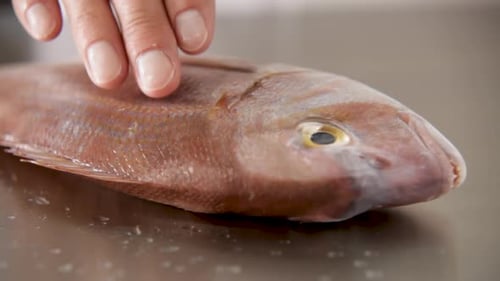 Close-up of a hand touching a fresh whole fish on a table, focusing on the eye and scales