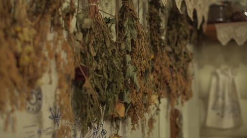 dried meadow plants and tree branches, sauna brooms