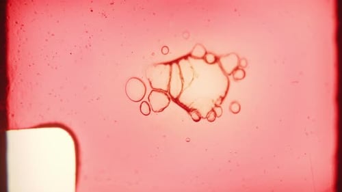 Abstract Bubbles with Pink Tinted Film Texture