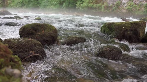 Mountain River Flowing Between Rocky Shores in Woodland at Sunrise in Foggy Weather