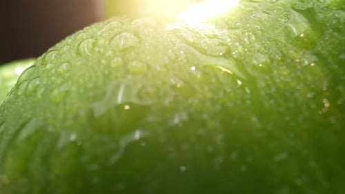 Vibrant green bell peppers glistening with droplets of water