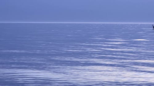 Baltic Sea coast and purple sunset