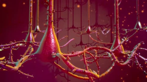 Visão microscópica dos neurônios cerebrais ativos