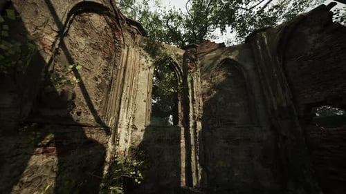 Old Church Ruins With Trees