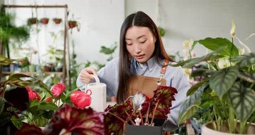 Young Woman Watering Plants in Greenhouse