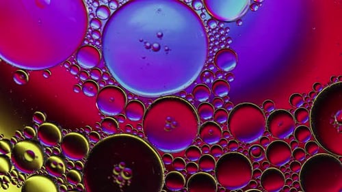 Psychedelic Oil Bubbles and Liquid Close Up