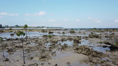 A slow motion capture of a unique ecology in India on a remote andaman island with volcanic reef roc