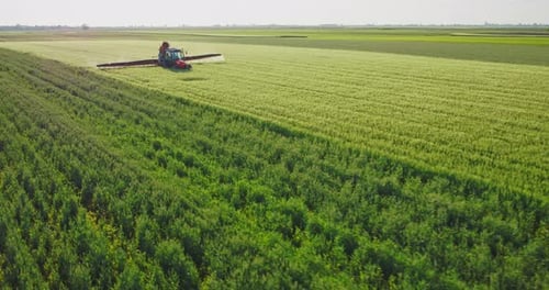 Drone aerial shot of a farmer spraying green wheat field