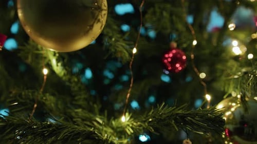 Christmas Tree Decorated with Ornaments and Lights