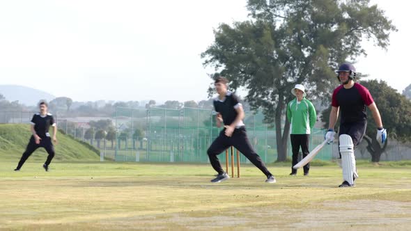 Playing cricket outdoors, group of men enjoying game on sunny day ...