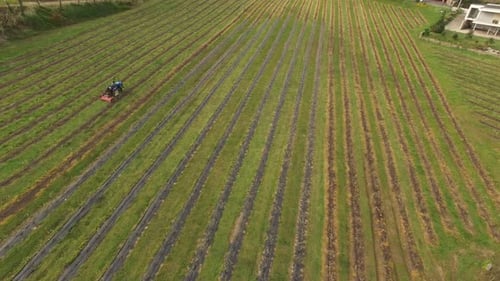 Tractor Agriculture Machine Works on Farm Field Aerial View