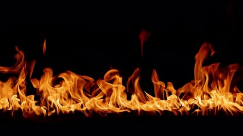 Feuer, brennende, helle Flammen auf schwarzem Hintergrund, Feuer in Zeitlupe, Wand aus echtem Feuer