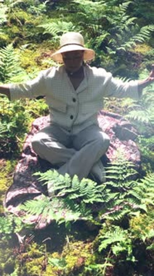 Meditation in Nature A Tranquil and Peaceful Forest Retreat for Refreshment and Serenity