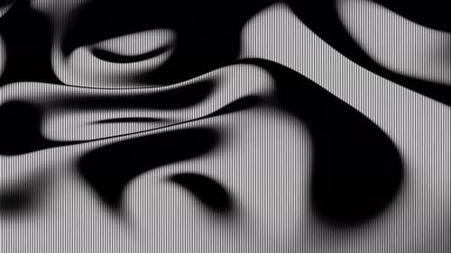 Fluid Black and White Wavy Line Distortion Background
