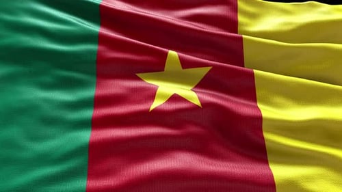 Waving Cameroon National Flag with Realistic Fabric Texture