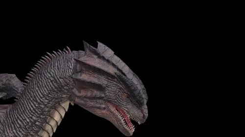 Dragon's Face : Idle Animation