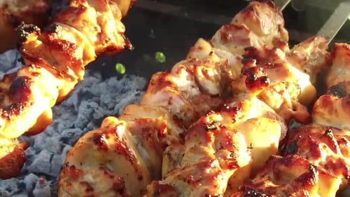 Grilled chicken kebab cooking over hot coals