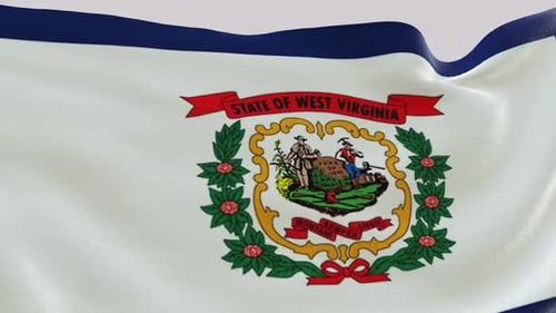 Bandera del estado de Virginia Occidental