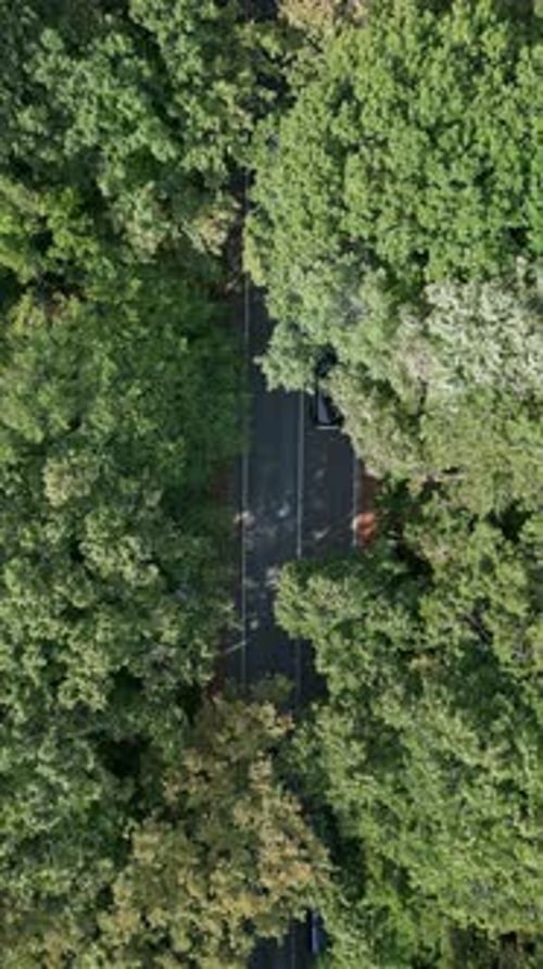 Drone Footage of a Car Driving Along a Winding Road Through Dense Green Forest The View From Above
