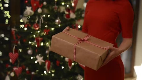 Woman Holds Christmas Present by Decorated Christmas Tree