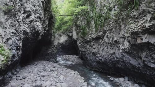 Narrow gorge river in jungle