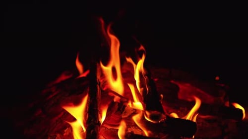 Mesmerizing view of wood burning out in bonfire. Red smoldering embers sparkling in the campfire