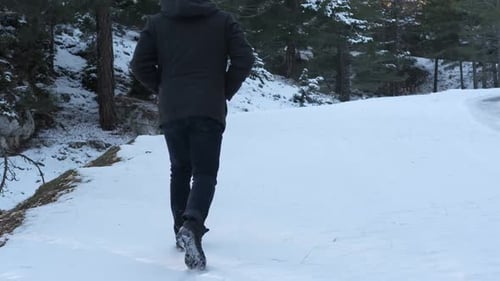 Snowy Walk