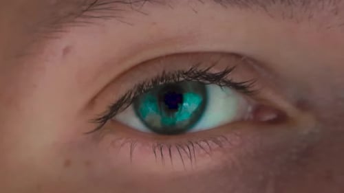 An image of a green, blue and gray eye blinking and watching in slow motion and 4K resolution.