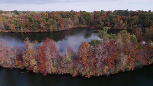 Flying over the autumn colored forests reflected in the lakes of Roger Williams Park.