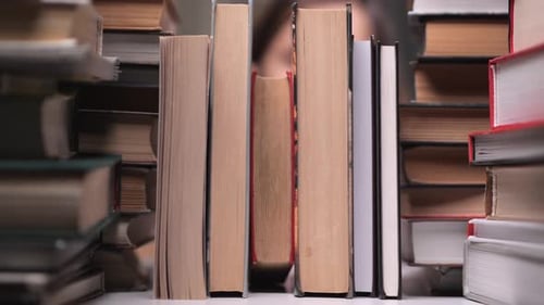 Little Girl Takes a Book From a Bookshelf Girl Takes a Book in the Library