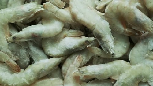 Close Up of Fresh Shrimp for Sale in a Market