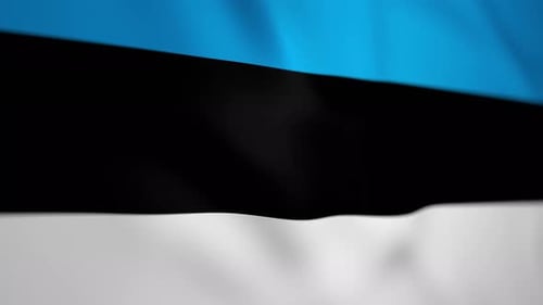 Estonian Flag Waving Motion Graphic