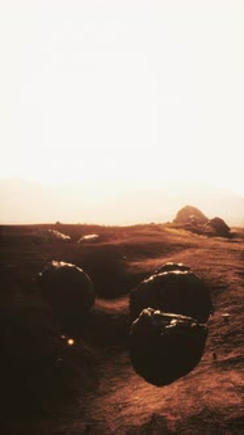 Large Rock on Dry Grass Field