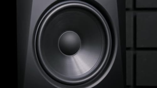 Monitor de estudio vibratorio de visión frontal con espuma acústica
